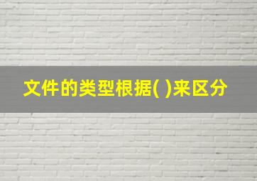 文件的类型根据( )来区分