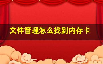 文件管理怎么找到内存卡