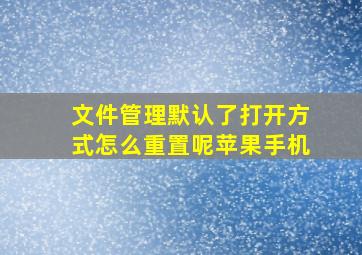 文件管理默认了打开方式怎么重置呢苹果手机