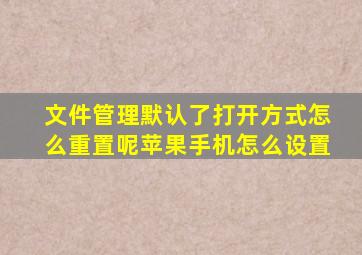 文件管理默认了打开方式怎么重置呢苹果手机怎么设置