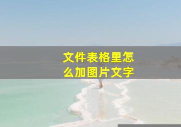 文件表格里怎么加图片文字