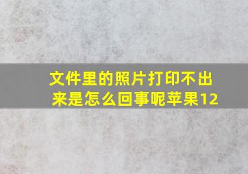 文件里的照片打印不出来是怎么回事呢苹果12