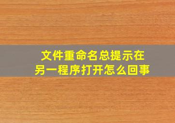 文件重命名总提示在另一程序打开怎么回事