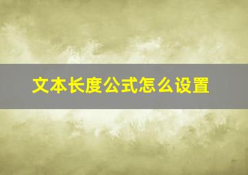 文本长度公式怎么设置