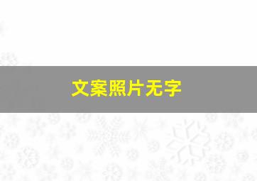 文案照片无字