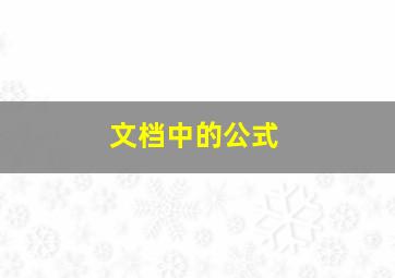 文档中的公式