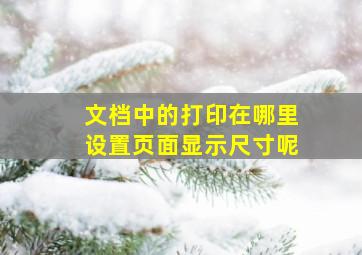 文档中的打印在哪里设置页面显示尺寸呢