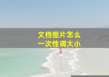 文档图片怎么一次性调大小