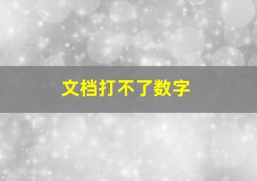 文档打不了数字