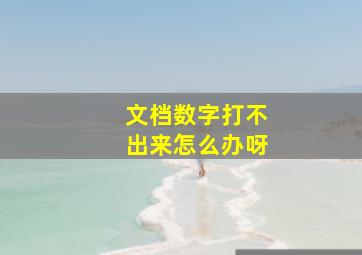 文档数字打不出来怎么办呀