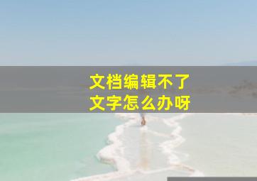 文档编辑不了文字怎么办呀