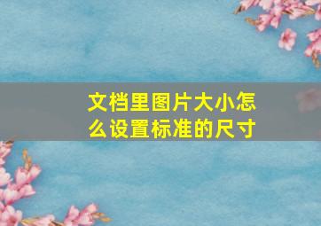 文档里图片大小怎么设置标准的尺寸