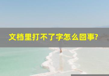 文档里打不了字怎么回事?