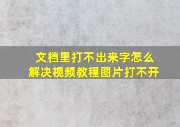 文档里打不出来字怎么解决视频教程图片打不开