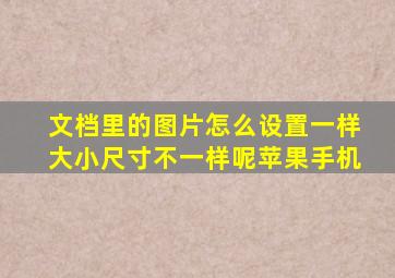 文档里的图片怎么设置一样大小尺寸不一样呢苹果手机