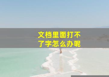 文档里面打不了字怎么办呢