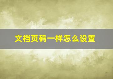 文档页码一样怎么设置