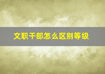 文职干部怎么区别等级