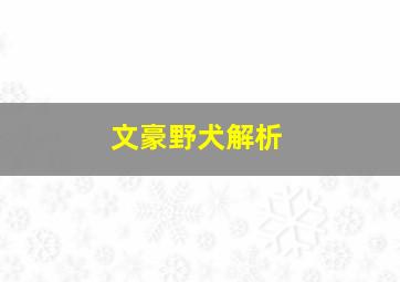 文豪野犬解析