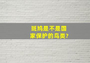 斑鸠是不是国家保护的鸟类?