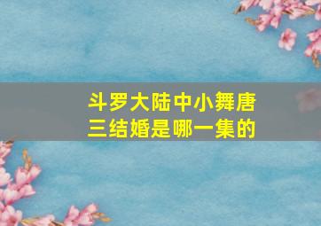 斗罗大陆中小舞唐三结婚是哪一集的