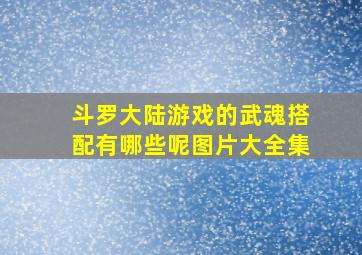 斗罗大陆游戏的武魂搭配有哪些呢图片大全集