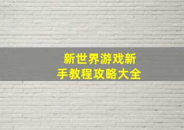 新世界游戏新手教程攻略大全