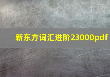 新东方词汇进阶23000pdf