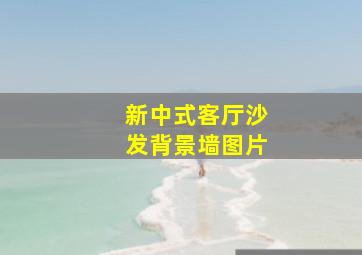 新中式客厅沙发背景墙图片