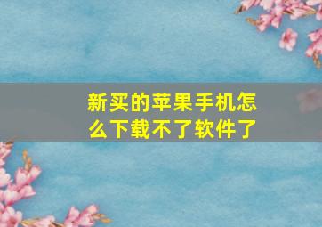 新买的苹果手机怎么下载不了软件了