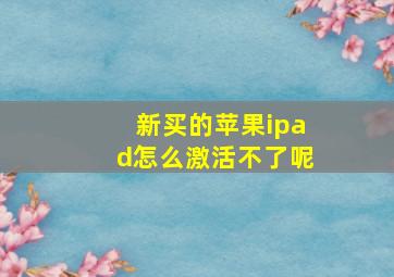 新买的苹果ipad怎么激活不了呢