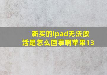 新买的ipad无法激活是怎么回事啊苹果13