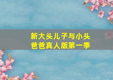 新大头儿子与小头爸爸真人版第一季