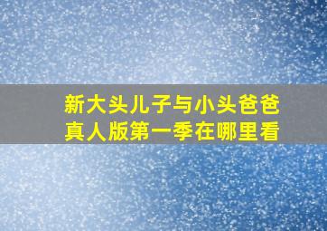 新大头儿子与小头爸爸真人版第一季在哪里看