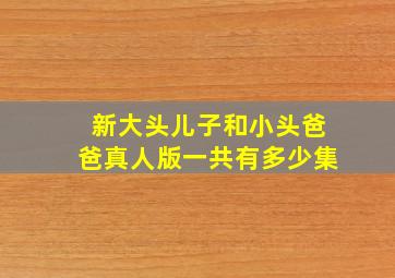 新大头儿子和小头爸爸真人版一共有多少集