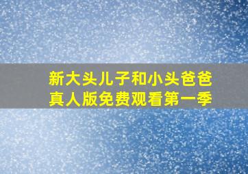 新大头儿子和小头爸爸真人版免费观看第一季