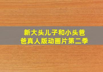 新大头儿子和小头爸爸真人版动画片第二季