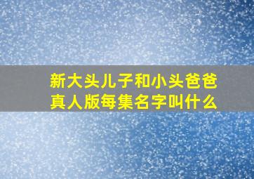 新大头儿子和小头爸爸真人版每集名字叫什么