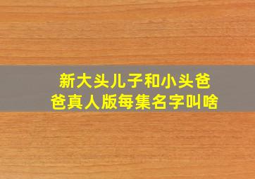 新大头儿子和小头爸爸真人版每集名字叫啥