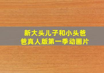 新大头儿子和小头爸爸真人版第一季动画片