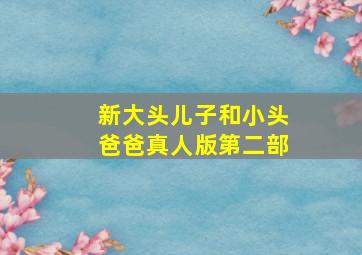 新大头儿子和小头爸爸真人版第二部