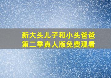 新大头儿子和小头爸爸第二季真人版免费观看