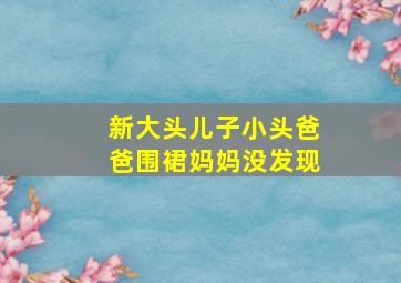 新大头儿子小头爸爸围裙妈妈没发现