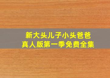 新大头儿子小头爸爸真人版第一季免费全集