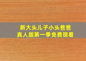 新大头儿子小头爸爸真人版第一季免费现看