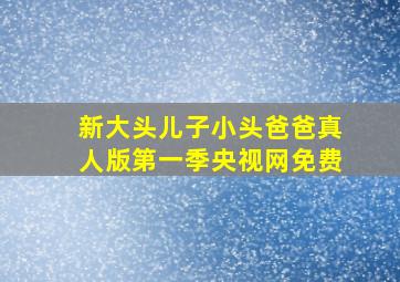 新大头儿子小头爸爸真人版第一季央视网免费