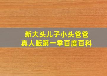 新大头儿子小头爸爸真人版第一季百度百科