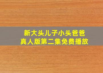 新大头儿子小头爸爸真人版第二集免费播放