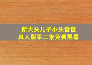 新大头儿子小头爸爸真人版第二集免费观看