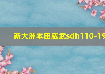 新大洲本田威武sdh110-19